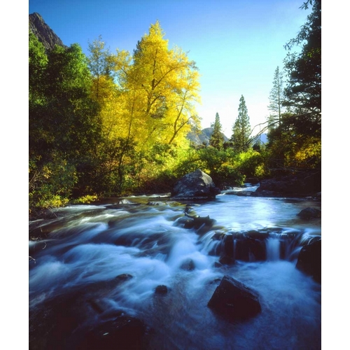 CA, Sierra Nevada, Autumn along a stream